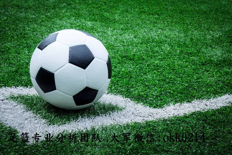 社群空间站群巢