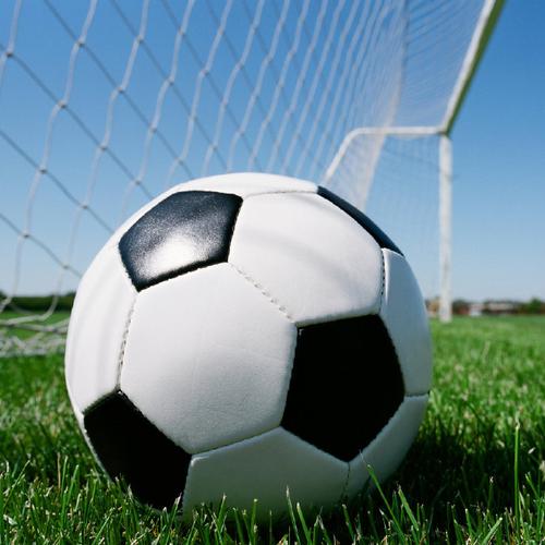 站群博客效果如何