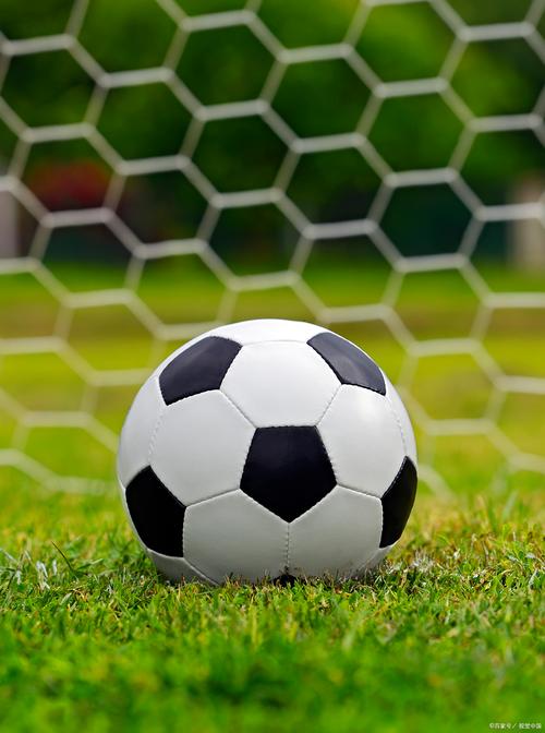 博达 高校站群管理