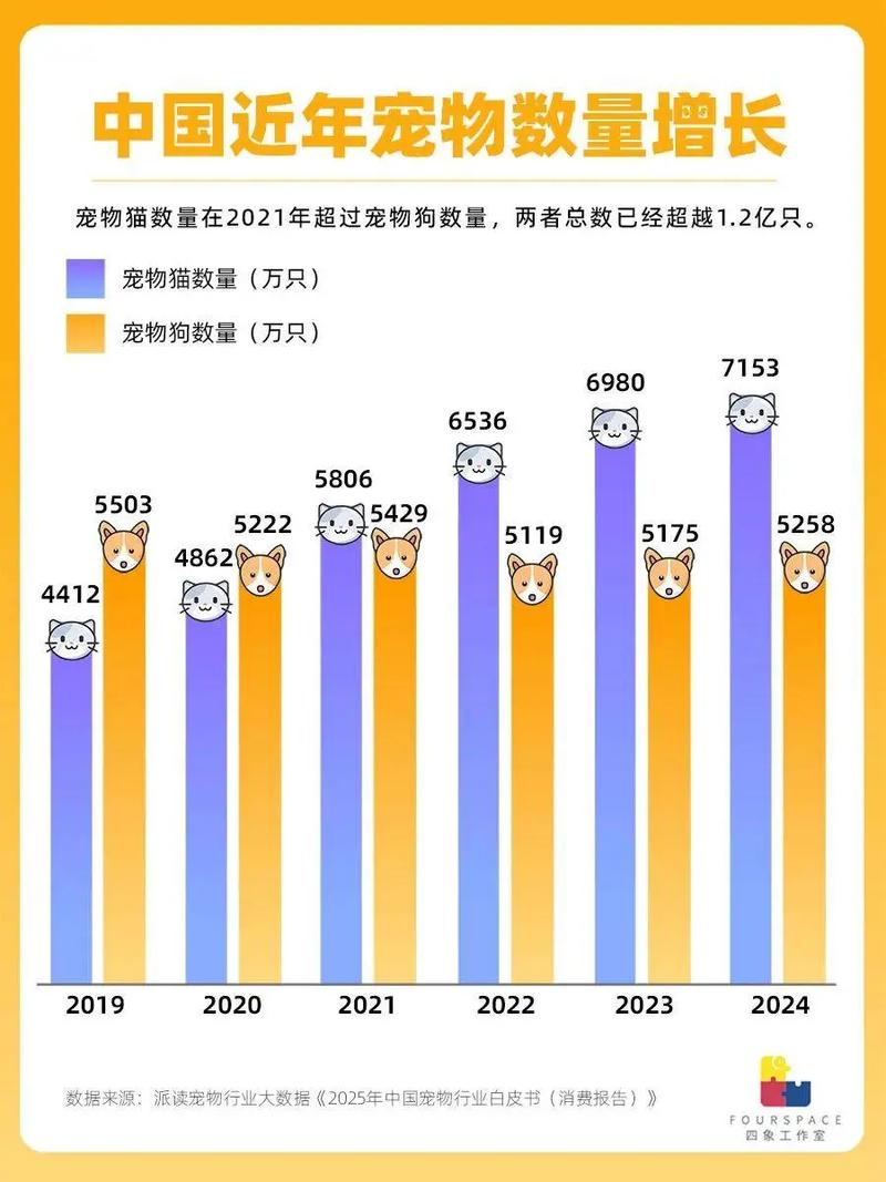 西瓜从六楼扔下竟完好无损，雷军说的“防弹涂层”到底是什么？